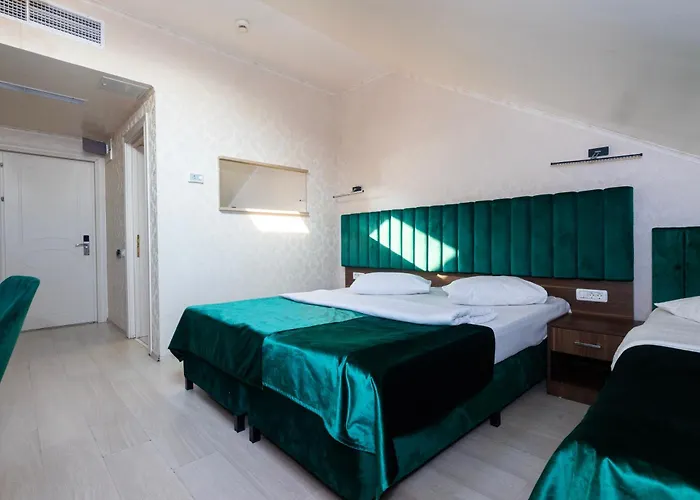 Hotel Merty